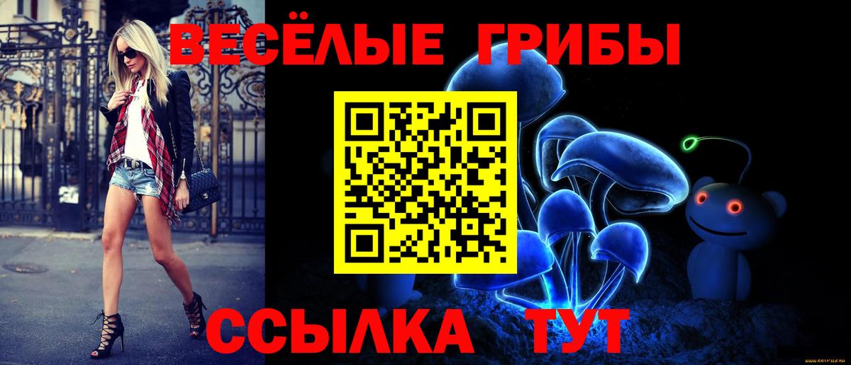 Псилоцибиновые грибы MAGIC MUSHROOMS Тулун