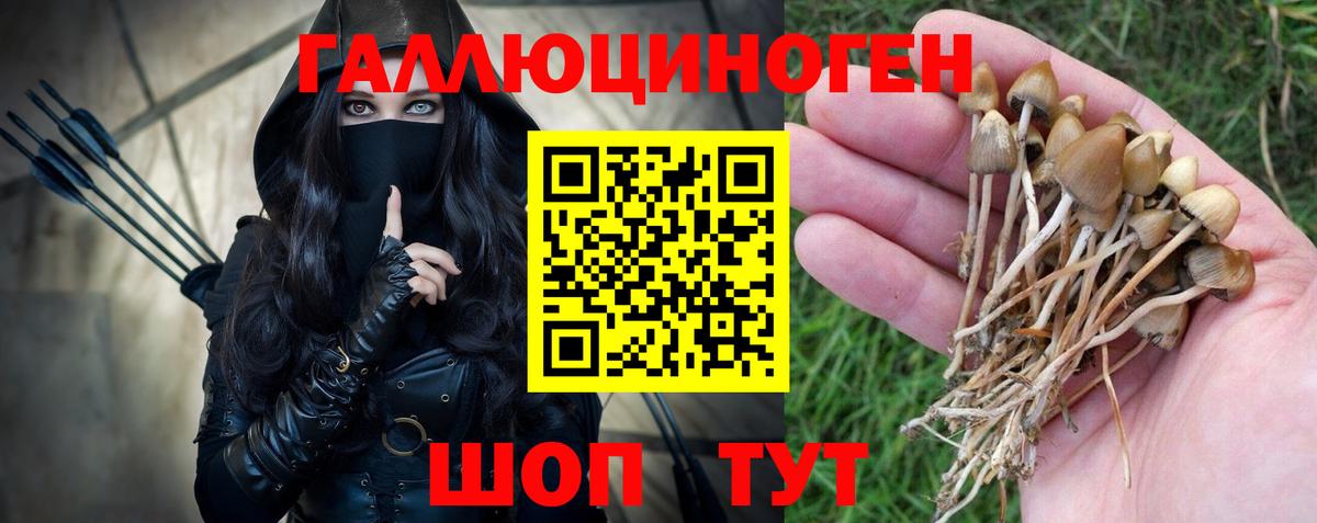 Тулун  Галлюциногенные грибы GOLDEN TEACHER  Вход с VPN 